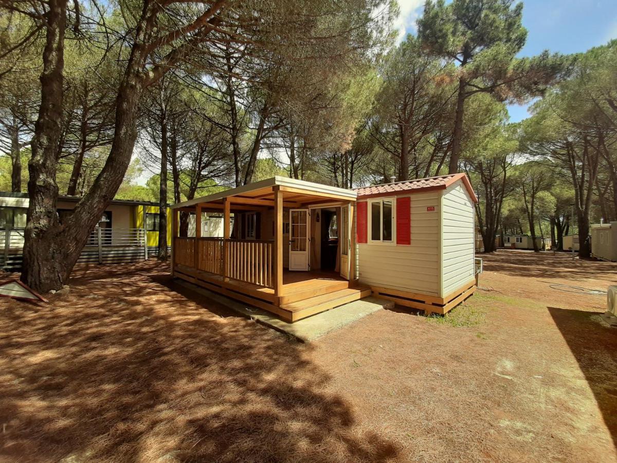 Lux Camp - Mobile Homes In Bi Village Фажана Екстер'єр фото